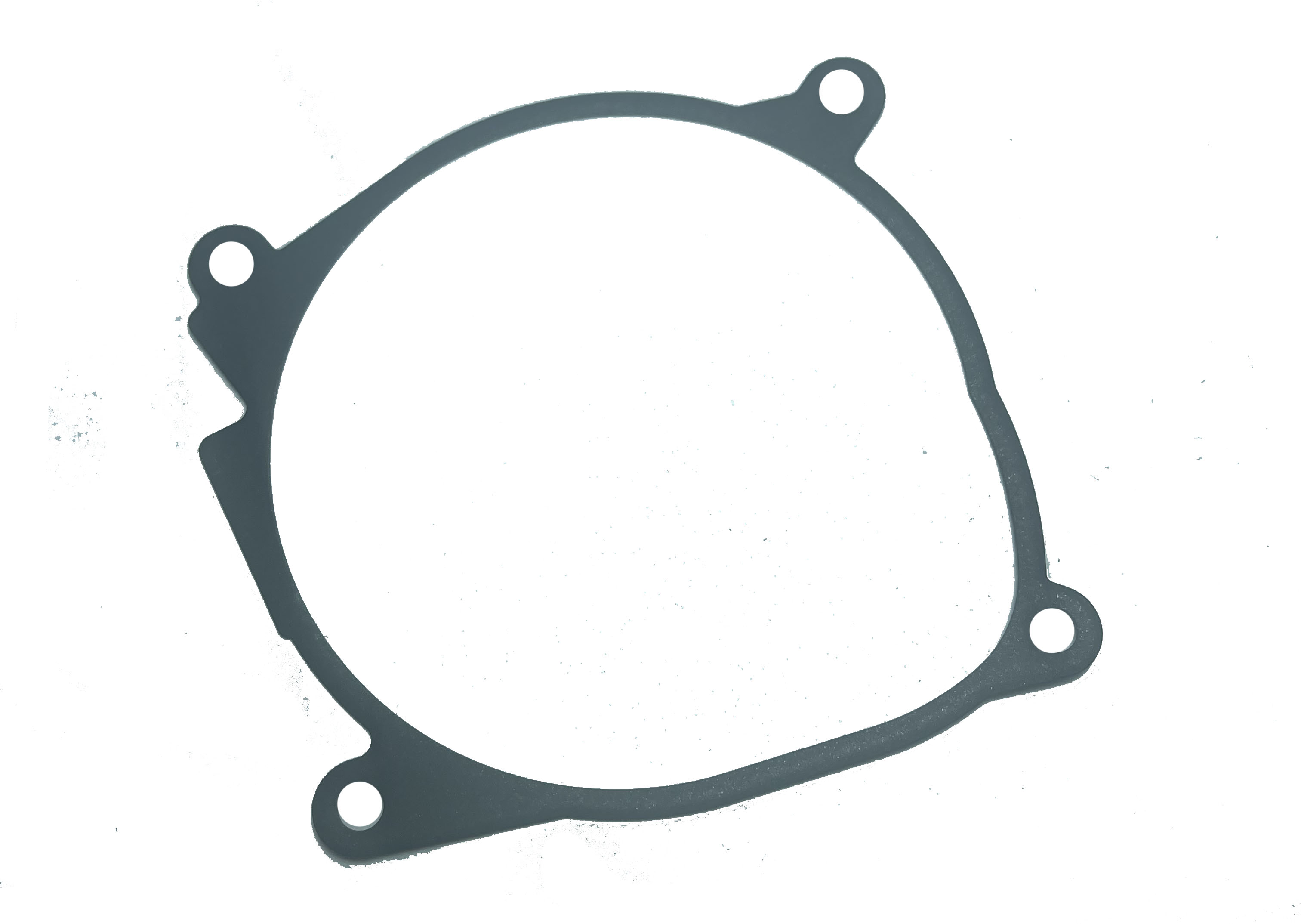 GARNITURA MOTOR D2  (252069010003)